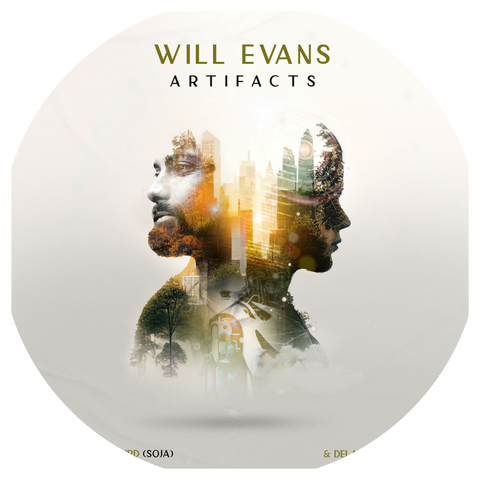 Will Evans