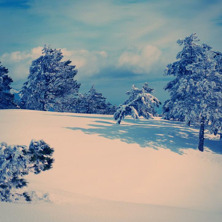 Honey Hill