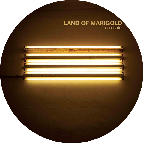 Land of Marigold
