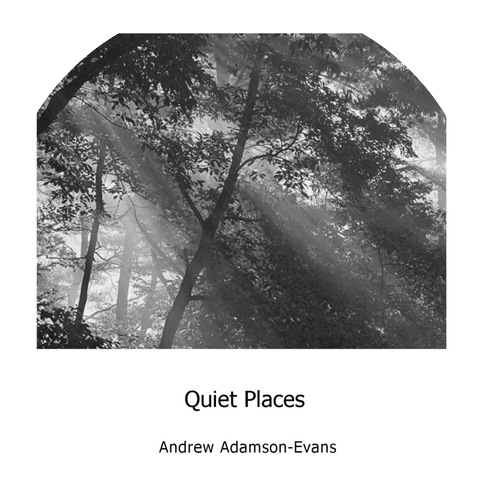 Andrew Adamson-Evans