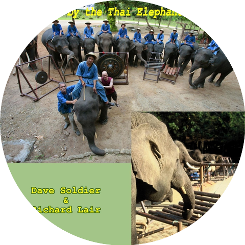 Thai Elephant Orchestra