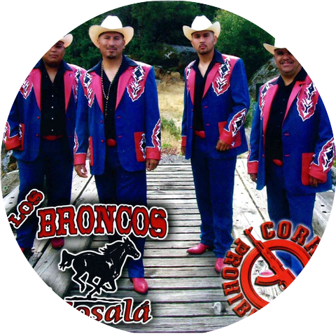 Los Broncos De Cosala