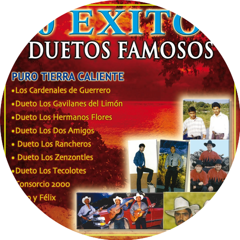 Los Cardenales De Guerrero