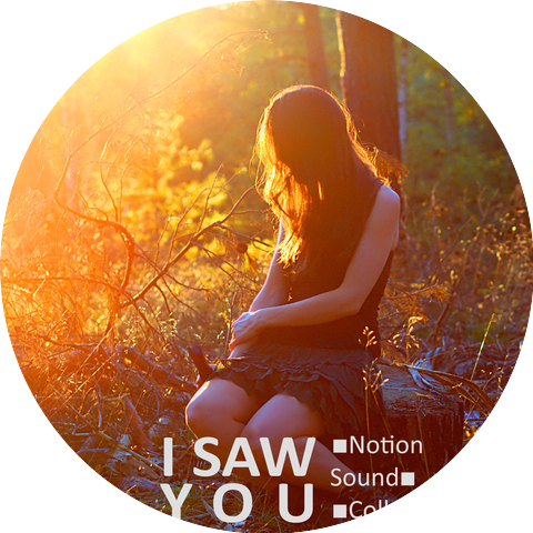 Notion Sound Collective