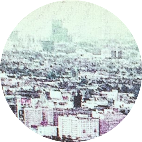 MIAMIGO
