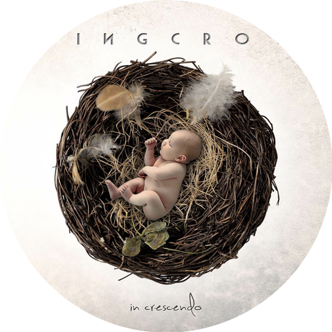 Kingcrow