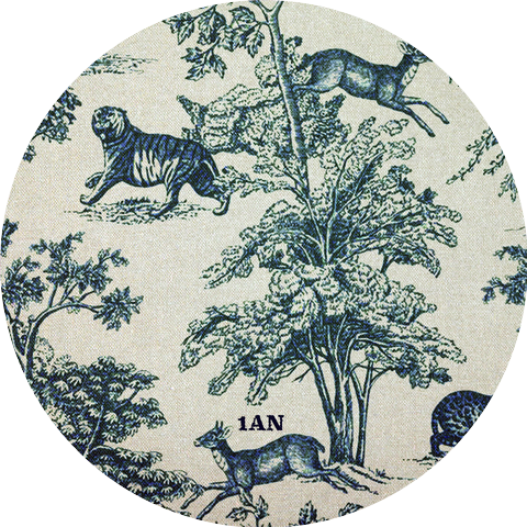 1AN