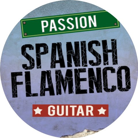 Salsa All Stars|Flamenco Guitar Masters|Latin Passion