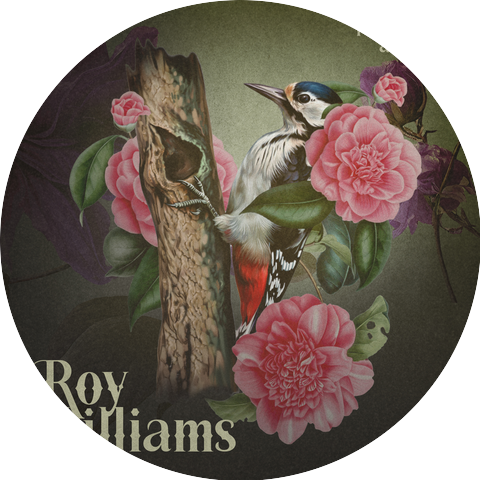 Roy Williams