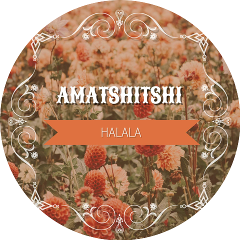 Amatshitshi