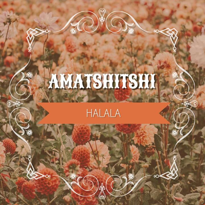 Amatshitshi