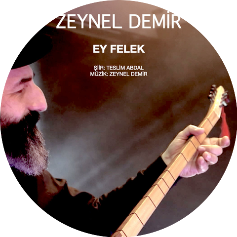 Zeynel Demir