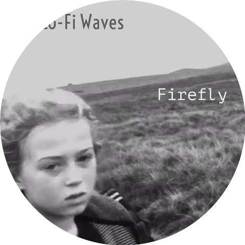 The Lo-Fi Waves