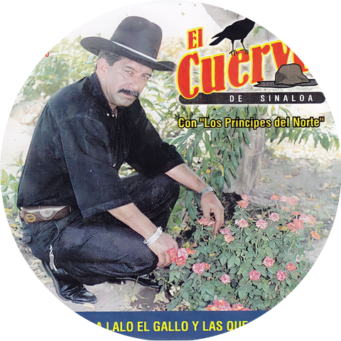 El Cuervo de Sinaloa