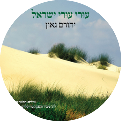 יהורם גאון