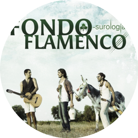 Fondo Flamenco