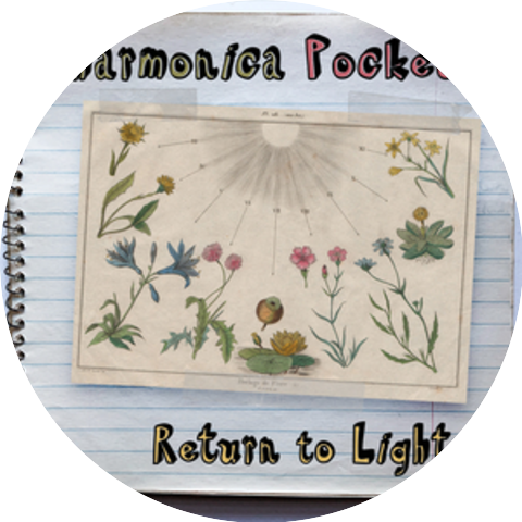 The Harmonica Pocket