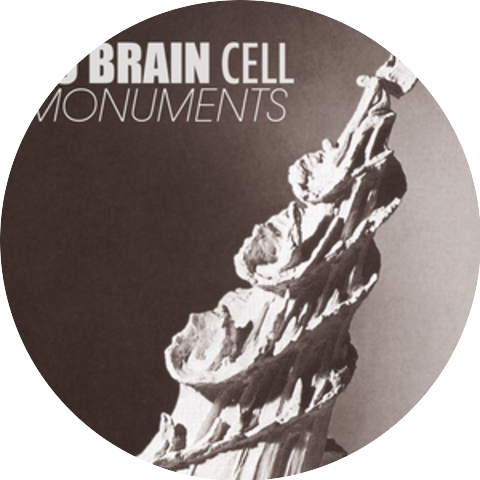 No Brain Cell