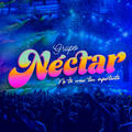 Grupo Nectar