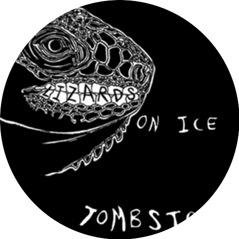 Lizards On Ice