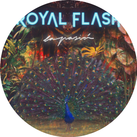The Royal Flash