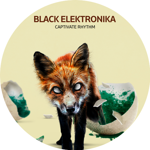 Black Elektronika