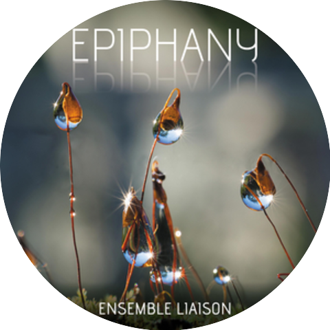 Ensemble Liaison