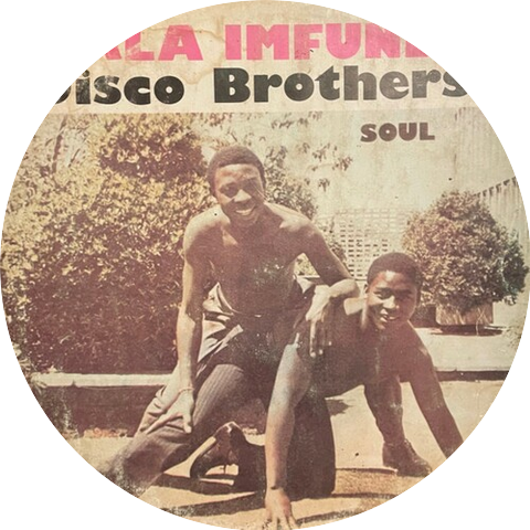 The Disco Brothers