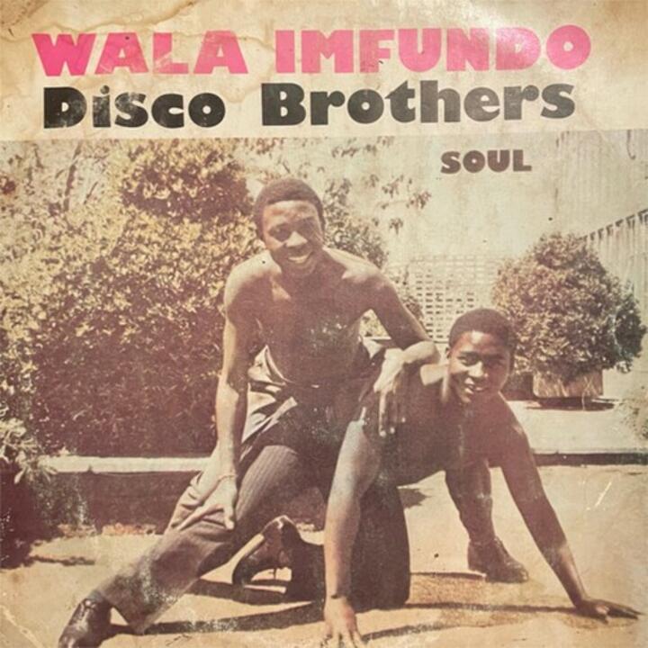 The Disco Brothers