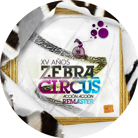 Zebra Circus