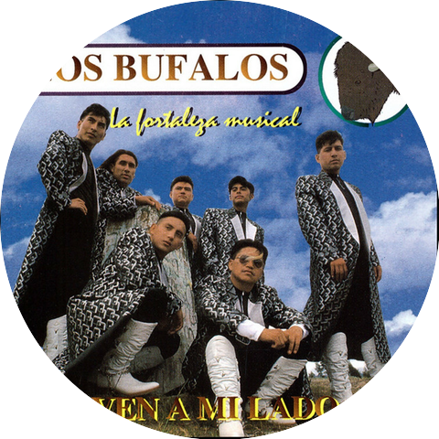 Los Bufalos