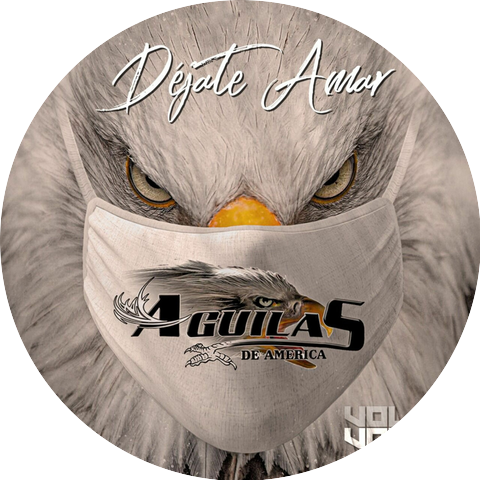 Aguilas de America