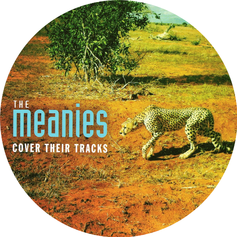 The Meanies