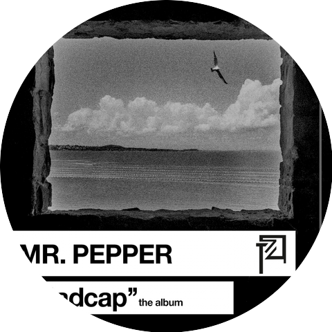 Mr. Pepper