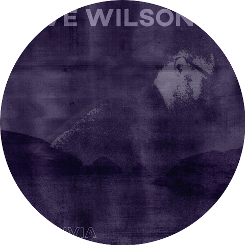Dave Wilson