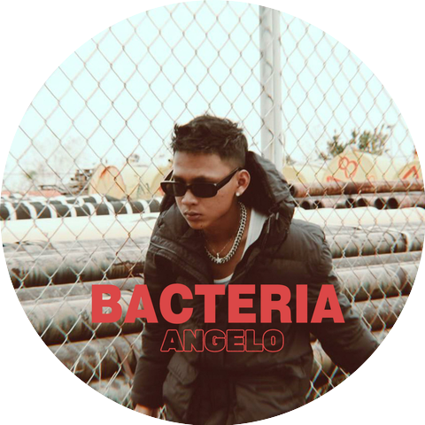 Angelo
