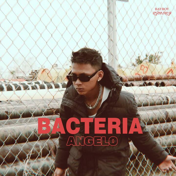 Angelo