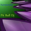 Pit Bull DJ