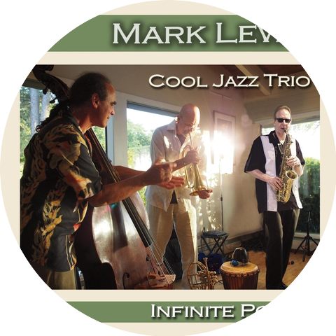 Mark Lewis Cool Jazz Trio