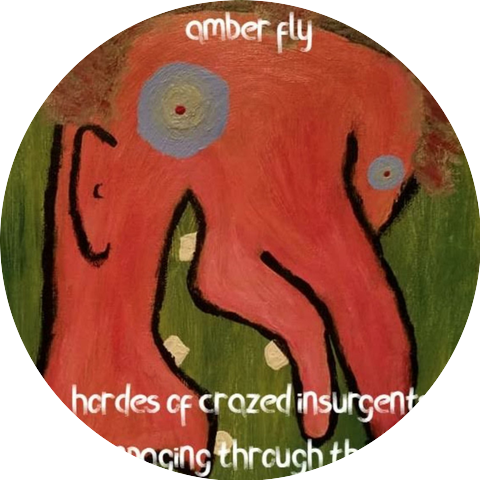 Amber Fly