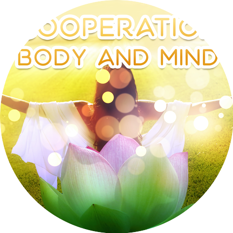 Meditation Music Zone & In Yoga Academy