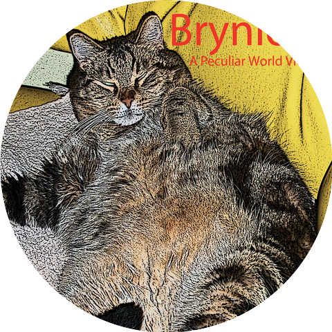 Brynion