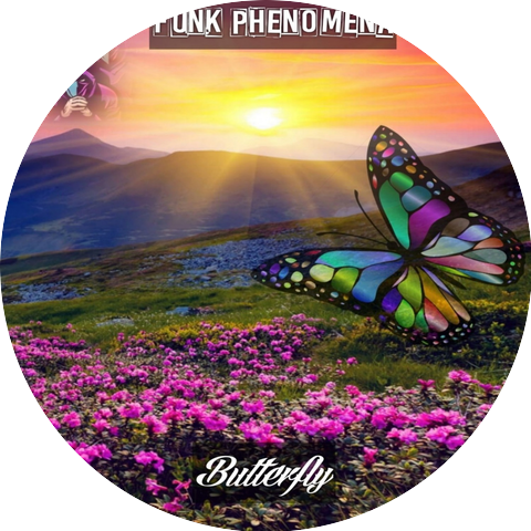 Funk Phenomena