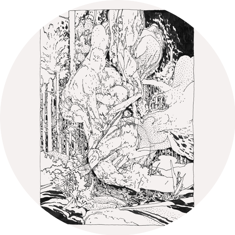 OTODOJO