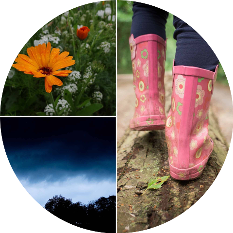 Jazz Lounge Music Club Chicago