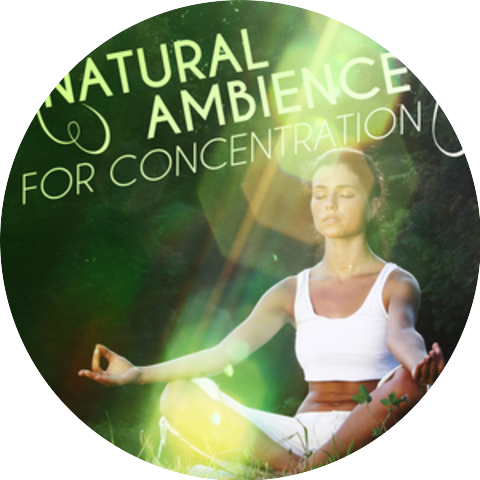 Natural Concentration Sounds