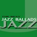 The Danny Gottlieb Trio