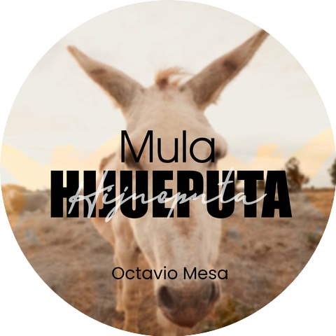 Octavio Mesa