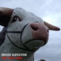 Mood Elevator