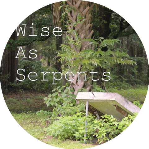 Wise as Serpents